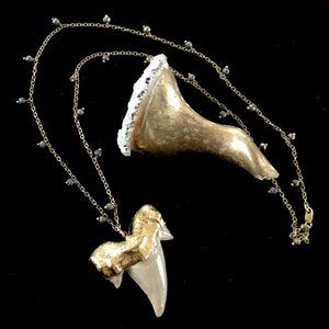 Gold plated Shark Tooth Pendant on pyrite beaded chain